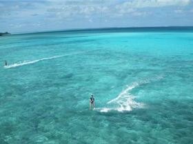 cocos-Islands-kite-4