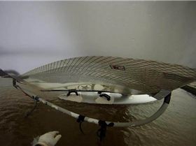 384720 10150521154108838 136306168837 9004802 2024316187 n