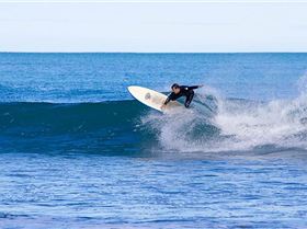  MG 0457 2012 0507 Ruapuke