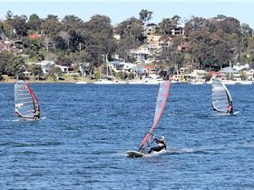 Marmong four seasons - winter round