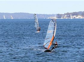 Marmong four seasons - winter round