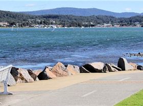 Marmong four seasons - winter round