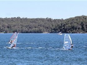 Marmong four seasons - winter round