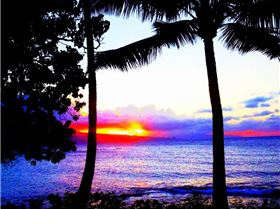 599497 10151087200123955 1017408566 n