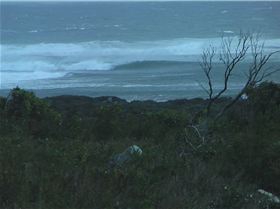 Patience my pet - soon we will be together again.