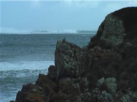 Patience my pet - soon we will be together again.