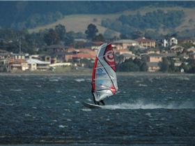 Locals at Lake Illawarra Sat 11th August