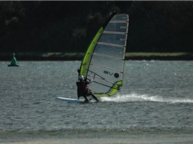 Locals at Lake Illawarra Sat 11th August