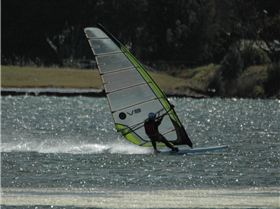 Locals at Lake Illawarra Sat 11th August