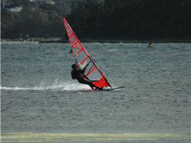 Locals at Lake Illawarra Sat 11th August