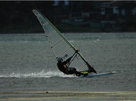 Locals at Lake Illawarra Sat 11th August
