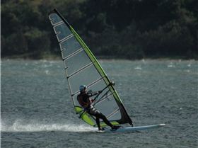 Locals at Lake Illawarra Sat 11th August