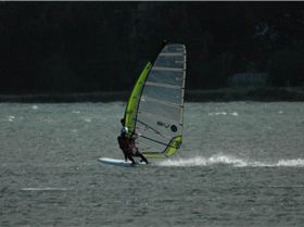 Locals at Lake Illawarra Sat 11th August