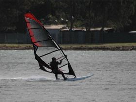 Locals at Lake Illawarra Sat 11th August