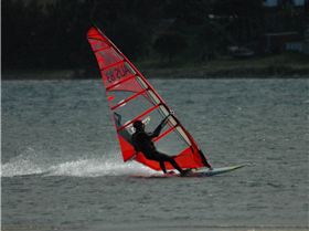 Locals at Lake Illawarra Sat 11th August