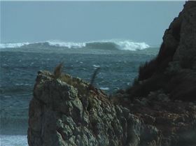 RED BULL STIRM CHASE LOCATION