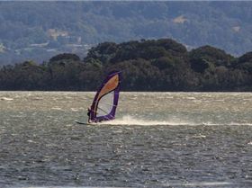 Windsurfing