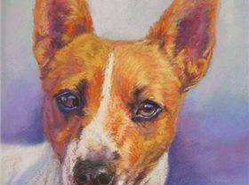 Some of my latest portait commissions