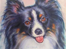 Some of my latest portait commissions