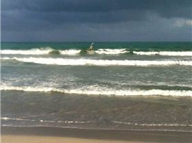 browns august 25th 12