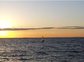 spotty at green point