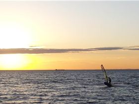 spotty at green point