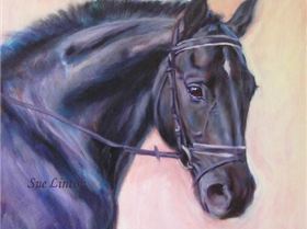 business awards + latest portrait