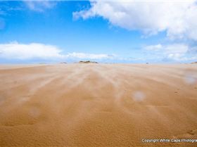 Sandy Point Speed Fortnight