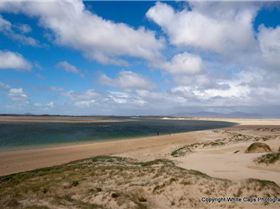 Sandy Point Speed Fortnight
