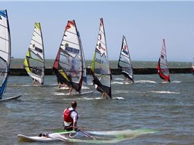 bayside race
