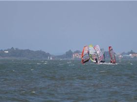 bayside race