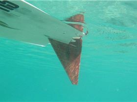 46518 463544863667958 1394839448 n