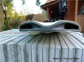 559432 526747237353321 1837788867 n