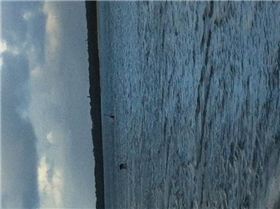 Who needs a calourie counter!