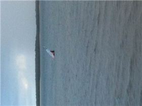 Who needs a calourie counter!