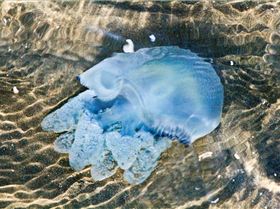 458525 224050814369448 1382439317 o