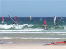 Jamie and Finno caring and sharing