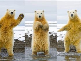 223369 522484387780680 1706240712 n