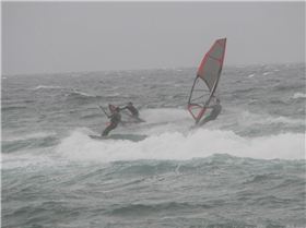 Long Reef 9.12.12 024