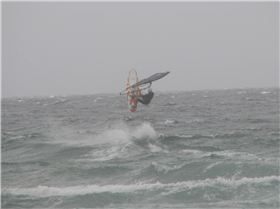 Long Reef 9.12.12 025