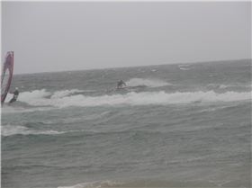 Long Reef 9.12.12 039