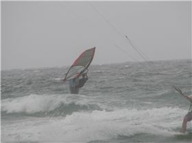 Long Reef 9.12.12 030