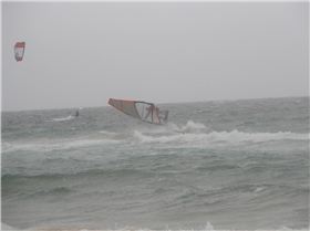 Long Reef 9.12.12 038