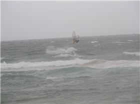 Long Reef 9.12.12 041