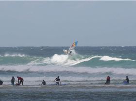 One of those days at the 'Bin... (12/12/12)