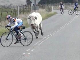 Funny-Pics-06 08 2012-211