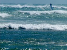 New 1 New 1 DSCF0128