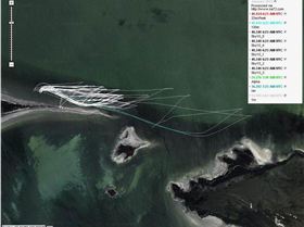 Daffy Lake George Big