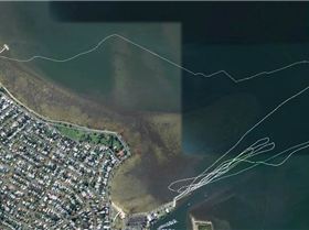 Screen Shot 2013-02-05 at 5.05.49 PM