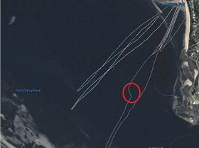 Quick drift in the Tamar